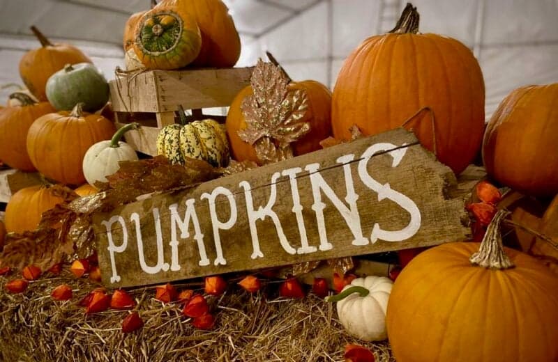 Where To Go Pumpkin Picking in Wales? [Pumpkin Patch Map 2023]
