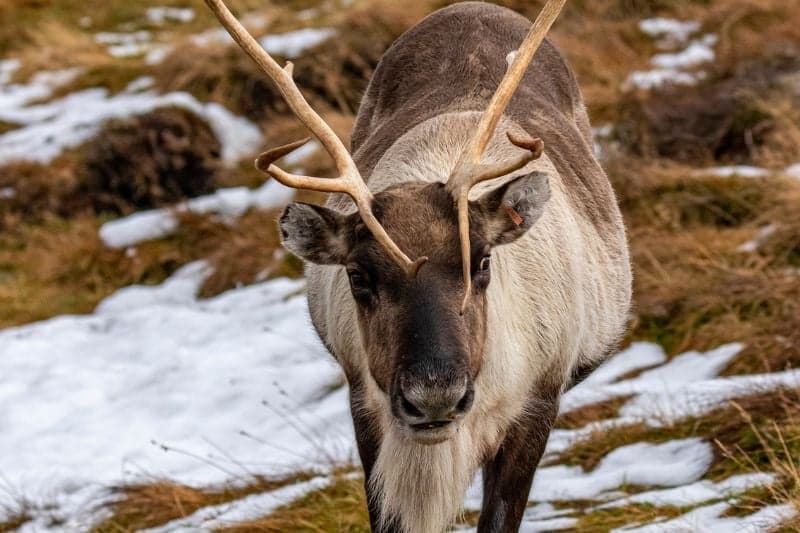 18 BEST Things To Do in Wales in Winter [2024 Guide]