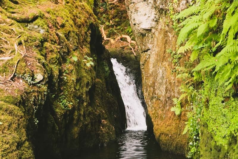 Ffynone Waterfall (3)